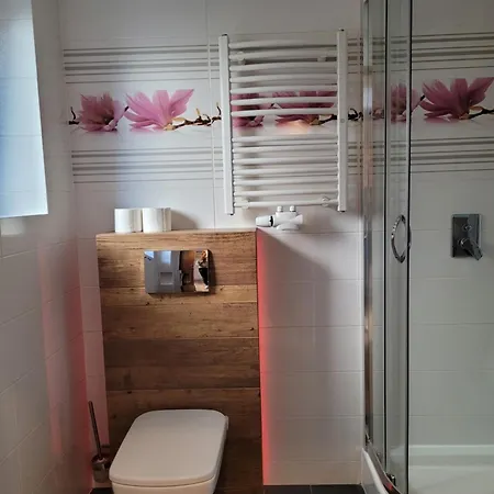 Asenata Pokoje & Apartamenty Centrum Ustron * Ustron