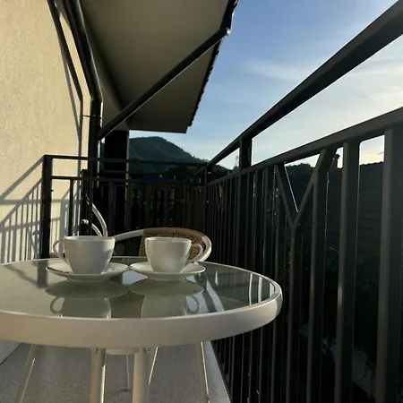 Asenata Pokoje & Apartamenty Centrum Ustron Ustron