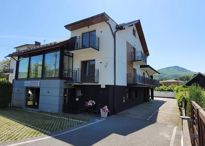 Willa Asenata Centrum *